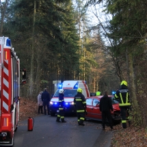 Auto gegen Baum (1)