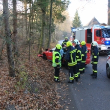 Auto gegen Baum (2)